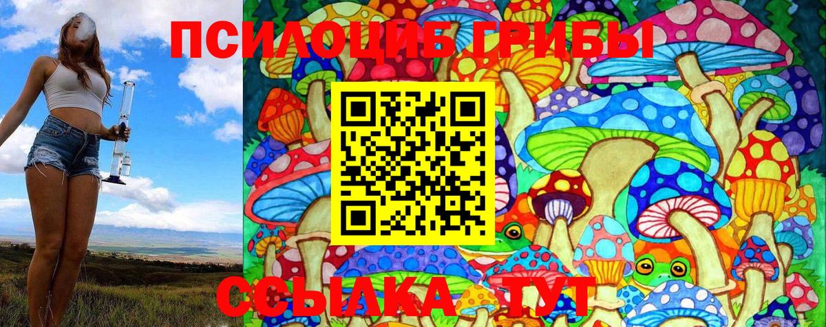 Псилоцибиновые грибы Magic Shrooms  Челябинск  Галлюциногенные грибы GOLDEN TEACHER 