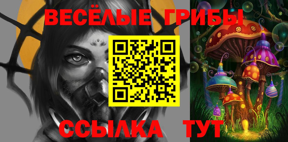 Псилоцибиновые грибы мицелий Челябинск