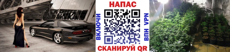 Бошки марихуана сатива  Купить  Челябинск 